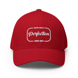 Perfection Dad Hat